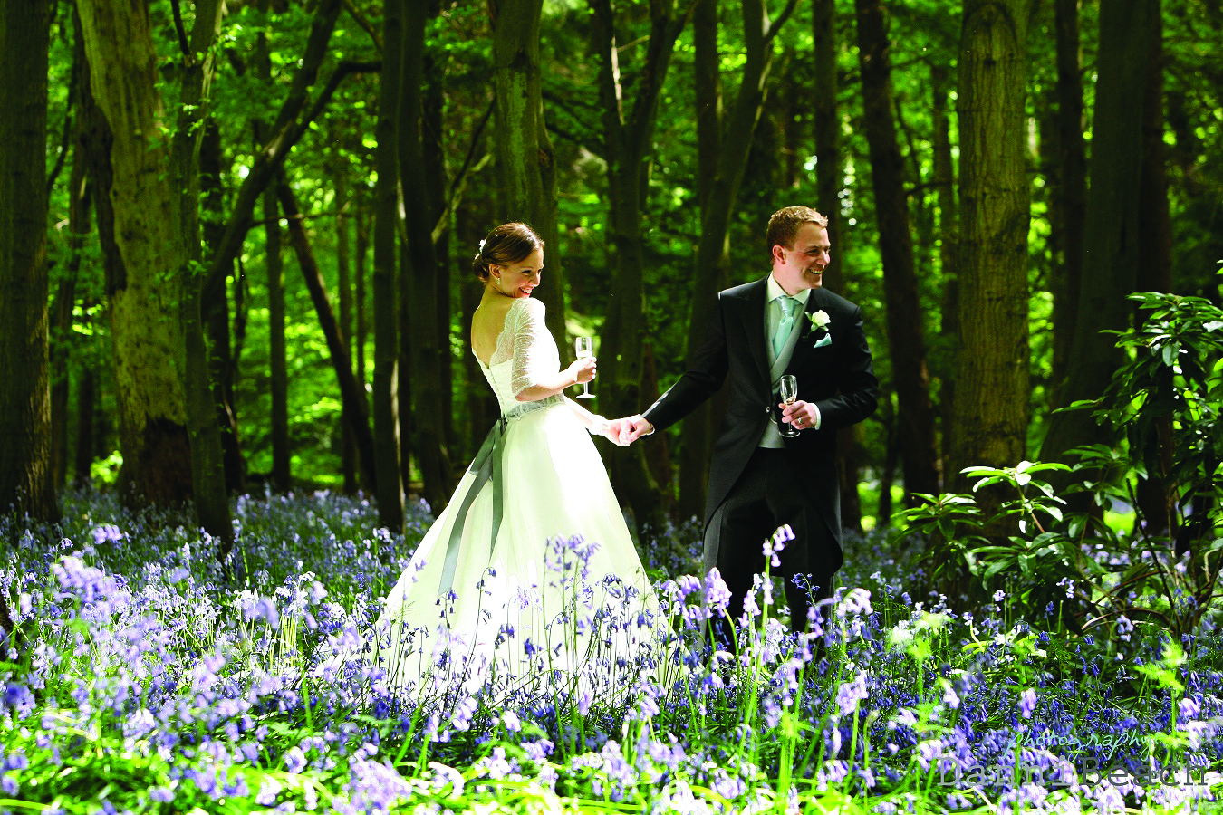 Amongst the Bluebells